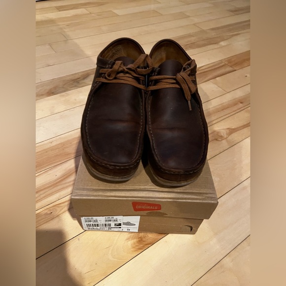 Clark’s wallabies - Picture 2 of 5